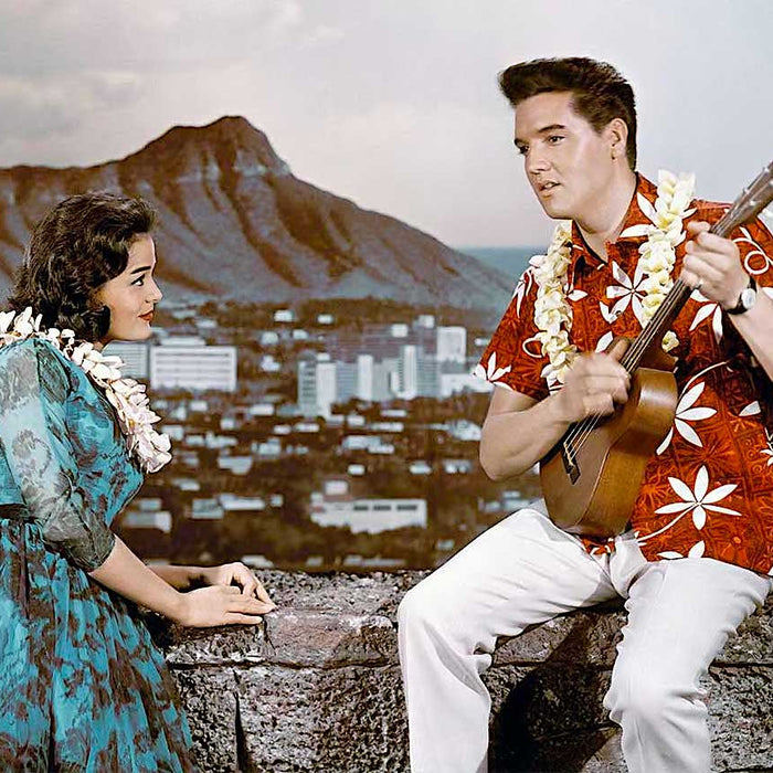 Avanti Fashion Hawaiian Shirts and Dresses, New at Leilanis Attic!