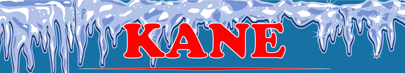 Kane Gift Guide - Leilanis Attic