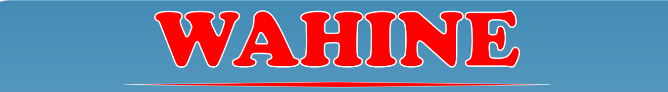 Wahine Gift Guide - Leilanis Attic