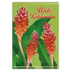 12-CT Box Xmas, Holiday Tropical Ginger Madden