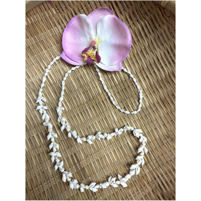 Nassa Shell Lei, Single Strand DK Hawaiian Collection