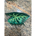 Anthurium Hair Claw Leilanis Attic
