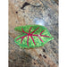 Anthurium Hair Claw Leilanis Attic