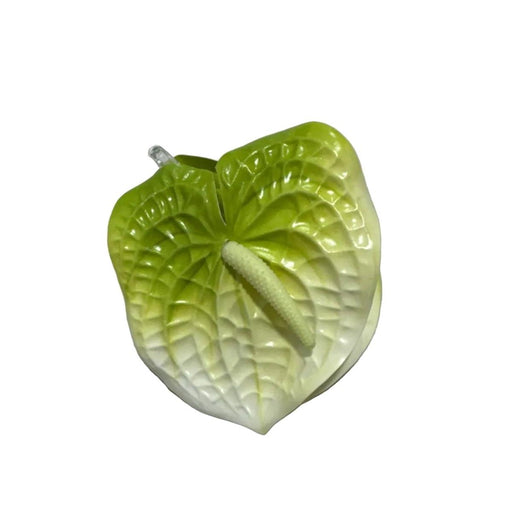 Anthurium Hair Clip Large Leilanis Attic