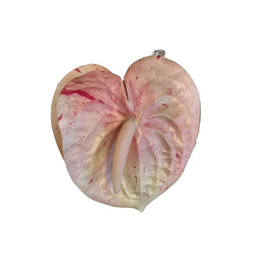 Anthurium Hair Clip Large Leilanis Attic