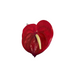Anthurium Hair Clip Large Leilanis Attic