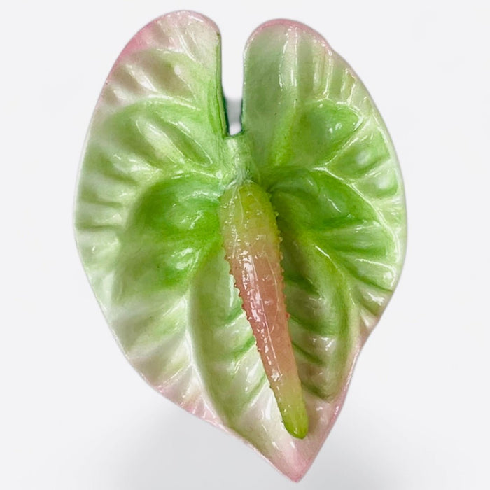 anthurium hair clip Anthurium Hair Stick – Tropical Island Accessory — Leilanis Attic