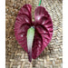 Anthurium Hair Stick, 2.5" CraftsWay