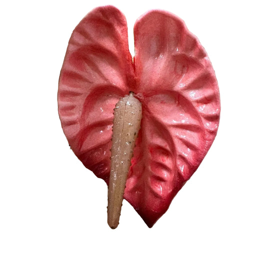 Anthurium Hair Stick, 2.5" CraftsWay
