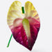 Anthurium Hair Stick, 2.5" CraftsWay