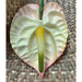 Anthurium Hair Stick, 3.5" CraftsWay