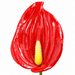 Anthurium Hair Stick, 3.5" CraftsWay