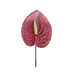 Anthurium Hair Stick, 3.5" V.2 CraftsWay