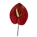 Anthurium Hair Stick, 3.5" V.2 CraftsWay
