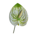 Anthurium Hair Stick, 3.5" V.2 CraftsWay
