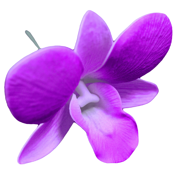 Dendrobium Orchid Hair Stick, 3" - Hair Claws & Clips - Leilanis Attic