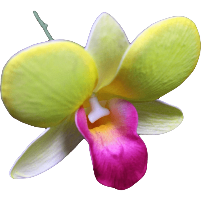 Dendrobium Orchid Hair Stick, 3" - Hair Claws & Clips - Leilanis Attic