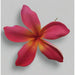Foam Plumeria Hair Pick, 5” - Hair Accessories