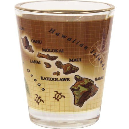 Gold Rim Shot Glass - Household Goods - Leilanis Attic