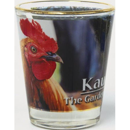 Gold Rim Shot Glass - Household Goods - Leilanis Attic