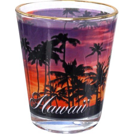 Gold Rim Shot Glass - Household Goods - Leilanis Attic