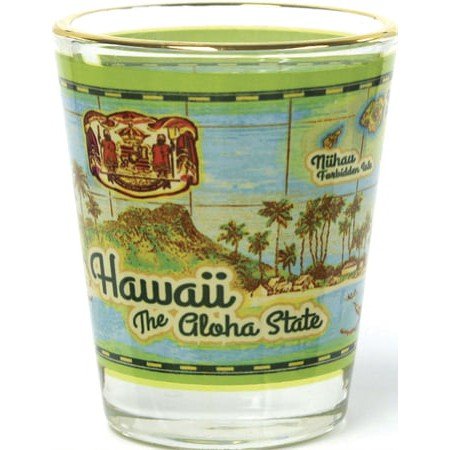 Gold Rim Shot Glass - Household Goods - Leilanis Attic