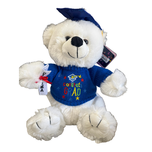 Graduation Teddy Bear, 12" Tall Leilanis Attic