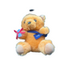 Graduation Teddy Bear w/ Sash, 10" Tall Leilanis Attic
