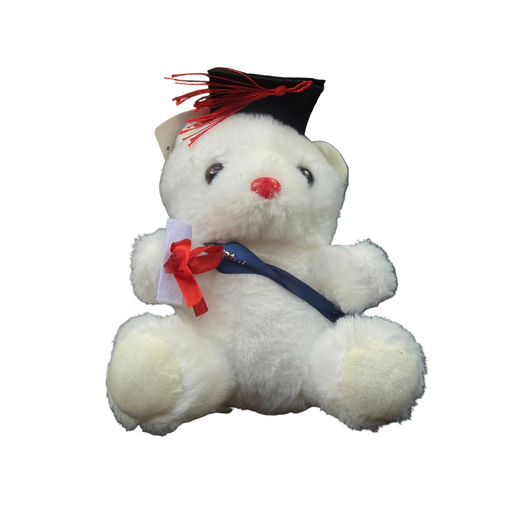 Graduation Teddy Bear w/ Sash, 10" Tall Leilanis Attic