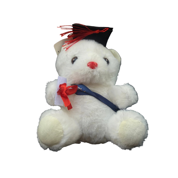 Graduation Teddy Bear w/ Sash, 10" Tall Leilanis Attic