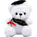Graduation Teddy Bear w/ Sash - Graduation