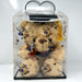 Graduation Teddy Bears w/ Box - Graduation - Leilanis Attic