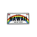 " HAWAII " THE 50TH STATE MINI LICENSE PLATE FRIDGE MAGNET DK Hawaiian Collection