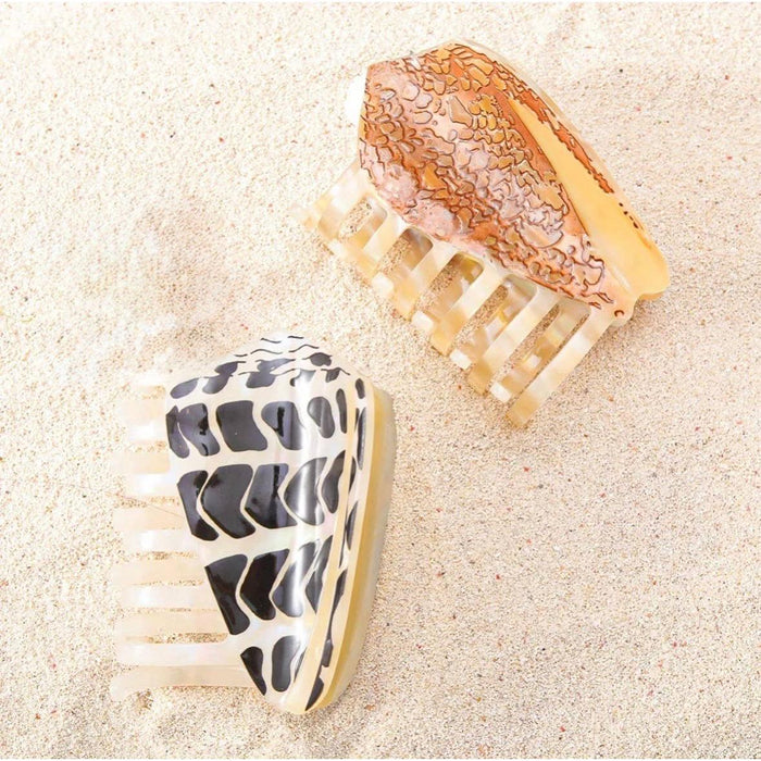 Hebrew Cone Shell Claw Clip The Coconut Collective