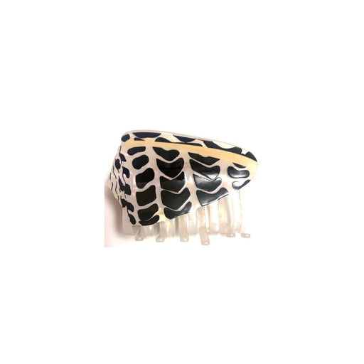 Hebrew Cone Shell Claw Clip The Coconut Collective