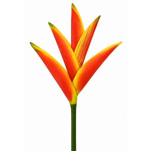 Heliconia Hair Stick, Small CraftsWay