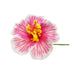 Hibiscus Flower Hair Pick, Various Colors - Hair Accessories