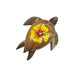 Hibiscus Shell Wooden Honu Magnet DK Hawaiian Collection