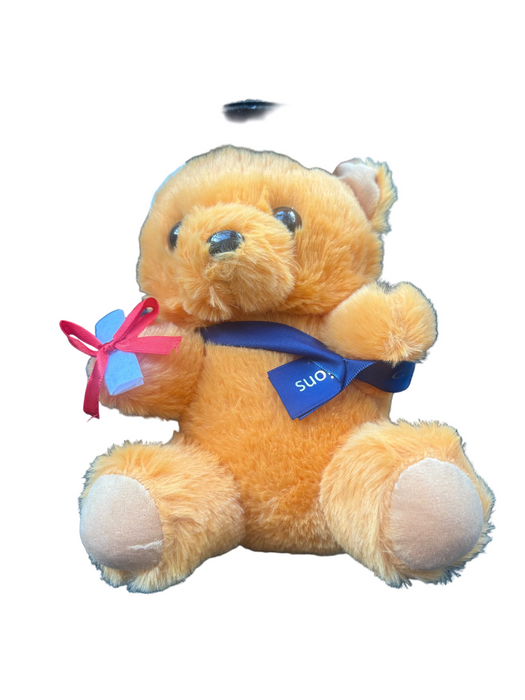 Graduation Teddy Bear w/ Sash, 10" Tall Leilanis Attic