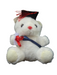 Graduation Teddy Bear w/ Sash, 10" Tall Leilanis Attic