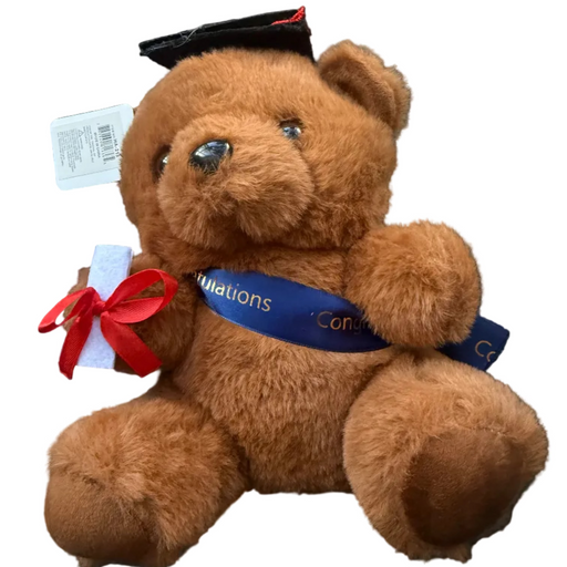 Graduation Teddy Bear w/ Sash, 10" Tall Leilanis Attic