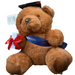 Graduation Teddy Bear w/ Sash, 10" Tall Leilanis Attic