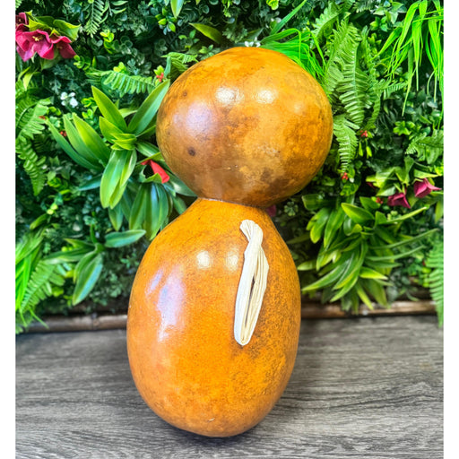 Ipu Heke Instrument - 2 Leilanis Attic