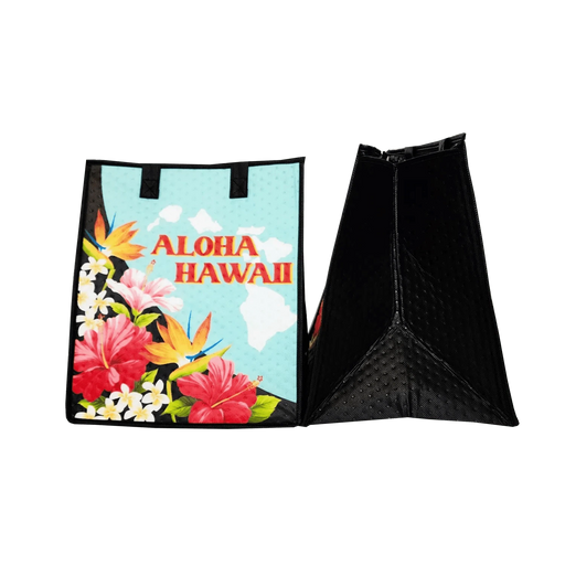 Large Insulated Cooler Bag, Neighborhood Large Mint - Insulated Bag - Leilanis Attic