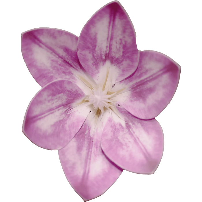 Latex Coated Flower Hair Stick, 3" - Hair Claws & Clips - Leilanis Attic