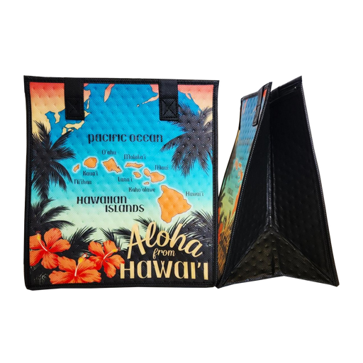 Medium Insulated Cooler Bag, Voyager Sunset Tropical Paper Garden LLC