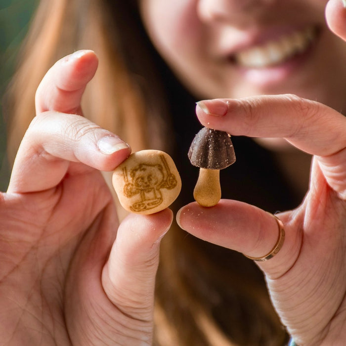 Meiji Chocoroom 1.34oz - cookies