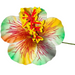 Multicolor Hibiscus Flower Hair Stick, Various Colors DK Hawaiian Collection