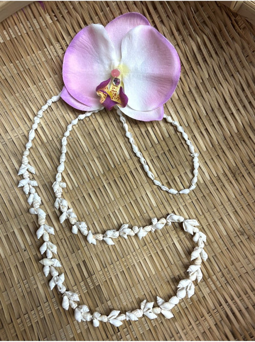 Nassa Shell Lei, Single Strand DK Hawaiian Collection