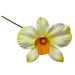 Yellow orchid with orange tongue hair pick